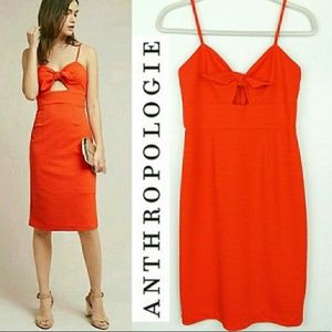 hutch knotted tropical dress